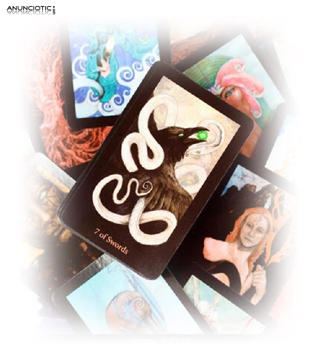 Significado De So&ntilde;ar Con Lombrices, Tarot Adivinatorio Amor