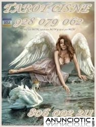 visa tarot espa&ntilde;ol Cisne 5� 10mtos 10� 30 mitos 8 � 20 mitos