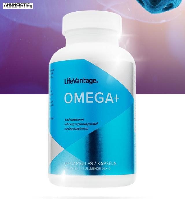 Oportunidades de negocio en A Coru&ntilde;a