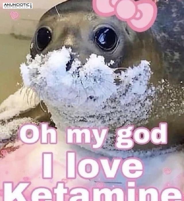 Ketamina, MDMA, MDPV, MXE, 4-fa, am2201 y otros.