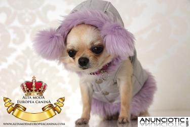 Abrigos para perros peque&Atilde;&plusmn;os