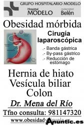 Plicatura gastrica. Hospital Modelo. Dr. Mena del R&iacute;o