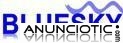 Servicio T&eacute;cnico Bluesky A Coru&ntilde;a 677306533