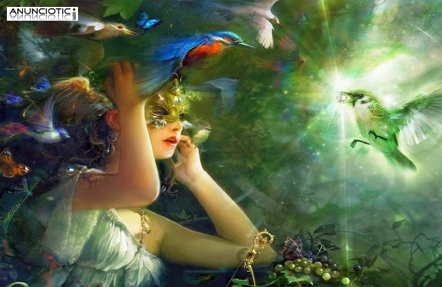 precios anti crisis de 9  � 30 minutos  y 5  � 15 min