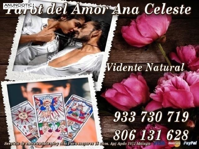 --Consultas Detalladas del Amor Ana Celeste Visa Econ&oacute;mica``