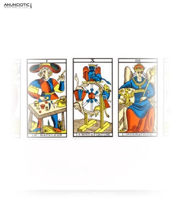 &iquest;Cu&aacute;l es el significado si sue&ntilde;as con Anaconda, Lectura Del Tarot Del Amor