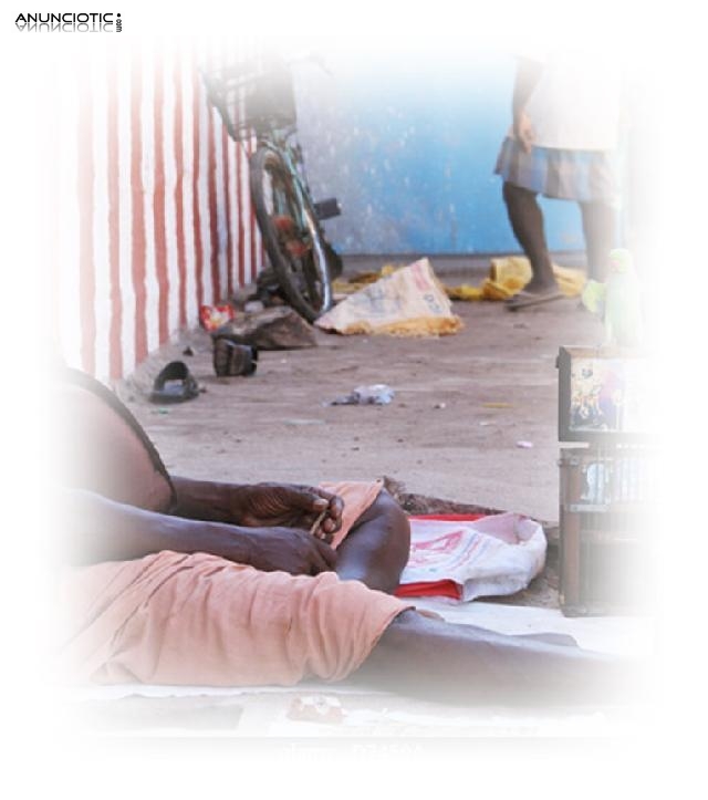 Hor&oacute;scopo Barato Signo Leo Hoy, Juicio Y Emperatriz Tarot Amor