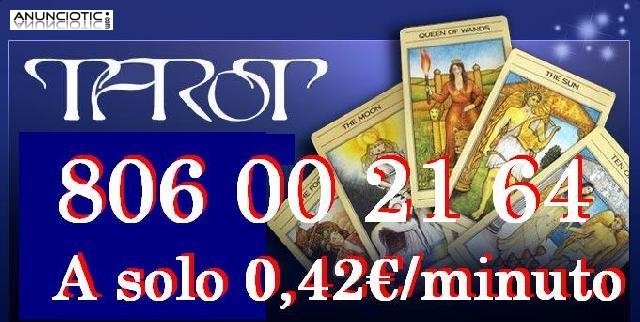 Tarotistas desde casa 