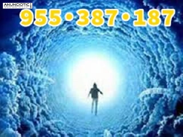 Tarotistas profesionales 8.5� 30min ;;, 