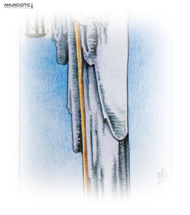 El Mejor Tarotista De Espa&ntilde;a, Tarot Del Amor Virtual