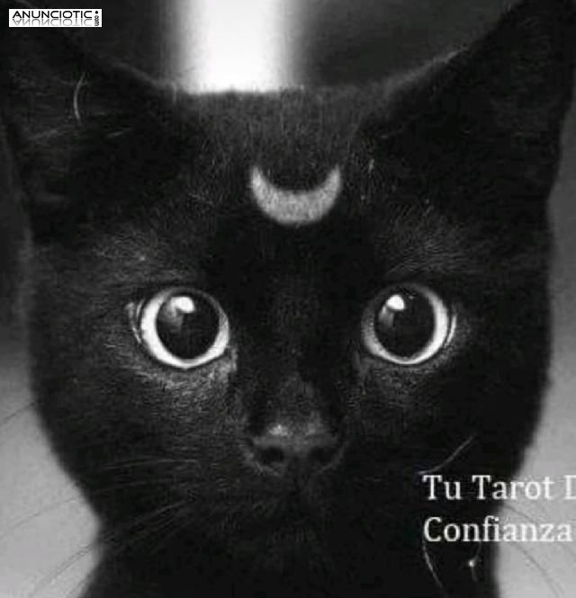 TAROT MAIKA VIDENTE ESPA&Ntilde;OLA 5 EUROS X 15 MINUTOS