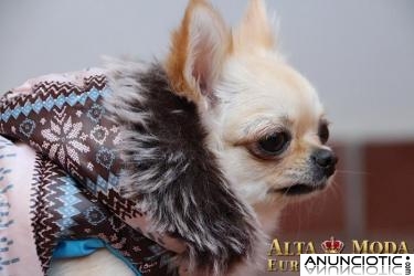 Abrigos para Perros, Ropa para Perros peque&Atilde;&plusmn;os