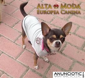 Sudaderas para Perros de Raza Peque&Atilde;&plusmn;a
