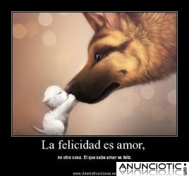 el mejor tarot de espa&ntilde;a