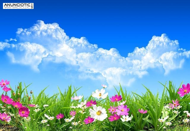 Promoci&oacute;n Primavera todo 50% Descuento