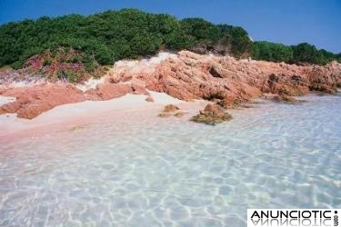 Particular;  Apartamentos en la isla de Cerde&ntilde;a, Italia