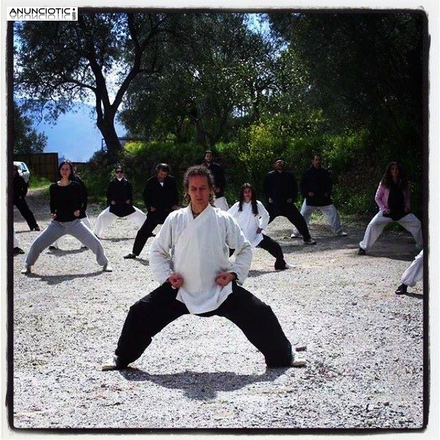 2-6 Julio 2014 Curso de Chi Kung y Tai Chi Chuan en Valle de Lecr&iacute;n,Granada