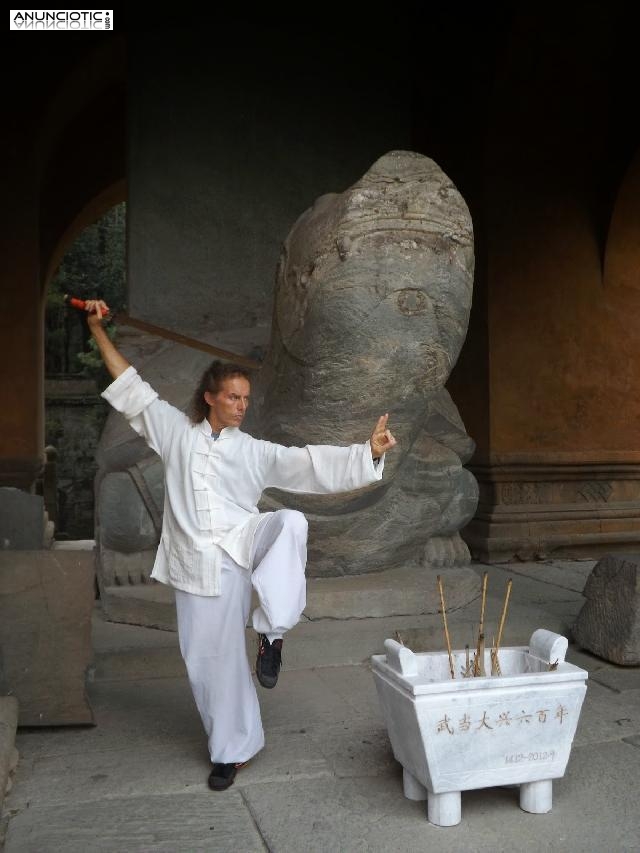 8 y 9 noviembre 2014 Empieza Formaci&oacute;n de ChiKung y/o TaiChi 