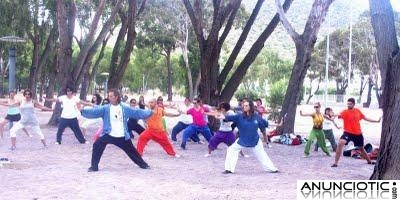 Clases y cursos de TAI CHI CHUAN y de CHI KUNG. Curso 2011-2012&thorn;