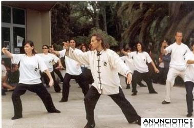 Clases y cursos de TAI CHI CHUAN y de CHI KUNG. Curso 2011-2012&thorn;