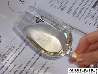 Iniciaci&oacute;na la Cata de los Vinos