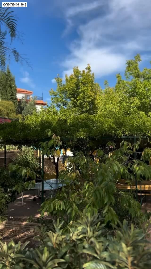 Asociaci&oacute;n Ares 