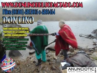 AMARRES DON LINO EN ESPA&Ntilde;A