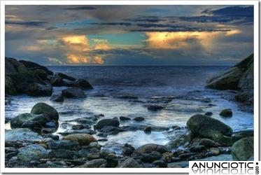 TE HAGO UNA RADIOGRAF&Iacute;A EMOCIONAL