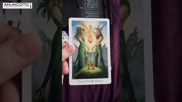 Hor&oacute;scopos Diarios Virgo Solteros, Tarot Del Amor Euroresidentes