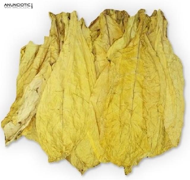 Hoja de Tabaco Virginia Natural Calidad Premium. Precio desde 12 � /kilo