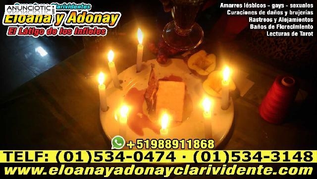  ADONAY AUT&Eacute;NTICO CURANDERO CLARIVIDENTE