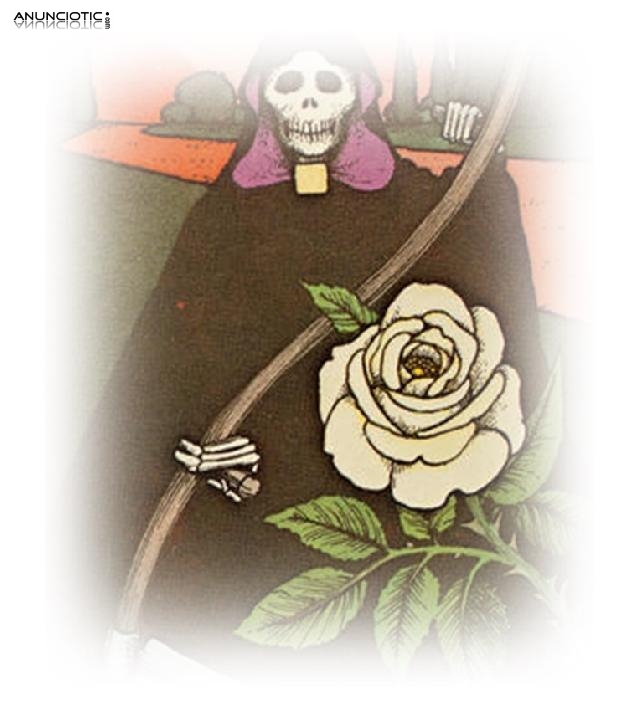 Tarot Barato Si O No Cinco Cartas, Tarot Exacto Del Amor