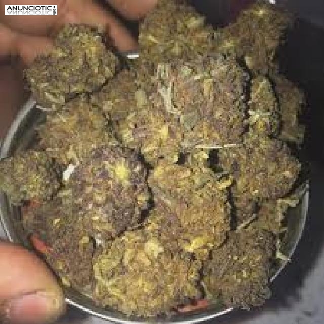 Entrega m&aacute;s r&aacute;pida en cualquier lugar