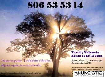 1&ordf; Consulta Gratis. Tarot El Arbol de la Vida