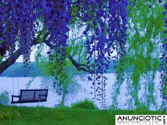 5� TIRADA DE TAROT