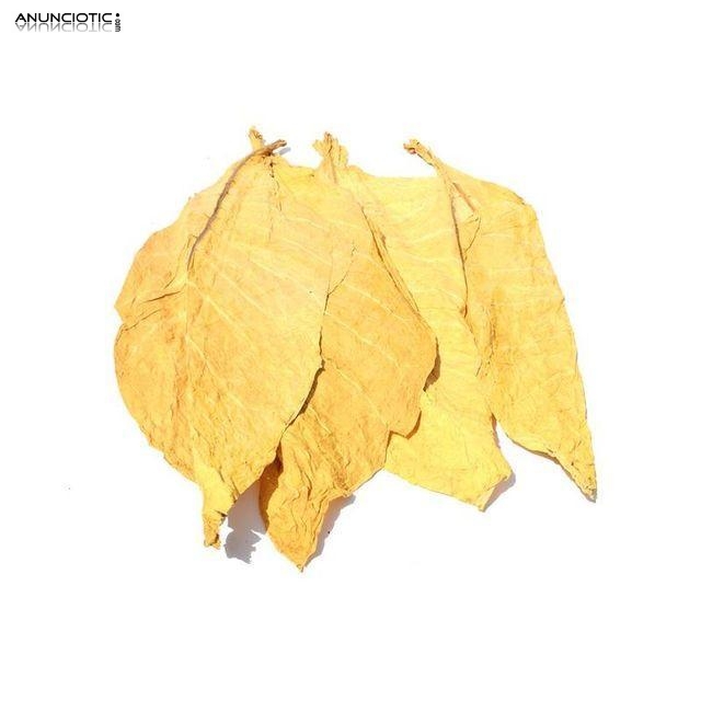 Hoja Virginia Lemon y Medium Natural desde 12�/kg