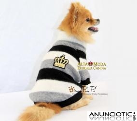 Jerseys para Perros. Jeserya para perros peque&ntilde;os