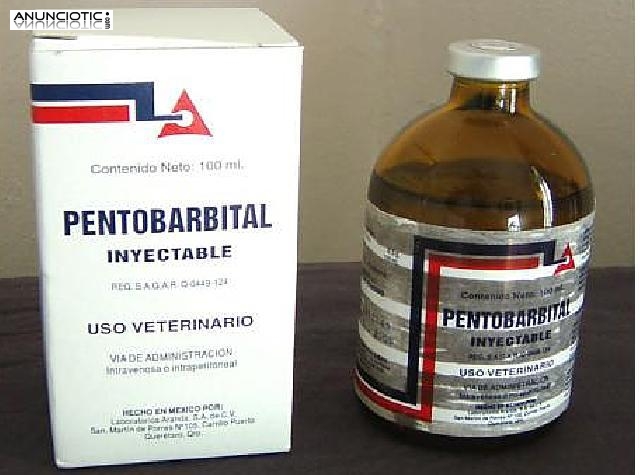 muerte con pentobarbital s&oacute;dico nembutal es mediod&iacute;a detector de uptossy