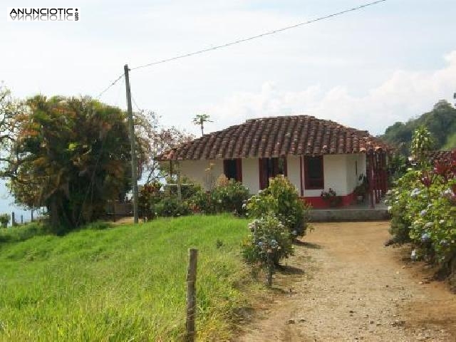 Finca con peque&ntilde;a vivienda