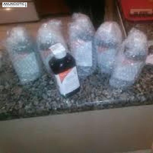 Actavis Promethazine con Codeine jarabe para la tos p&uacute;rpura