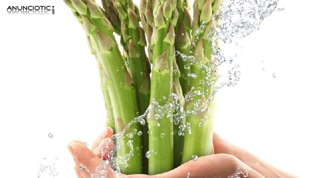 Curso Diet&eacute;tica y Nutrici&oacute;n 