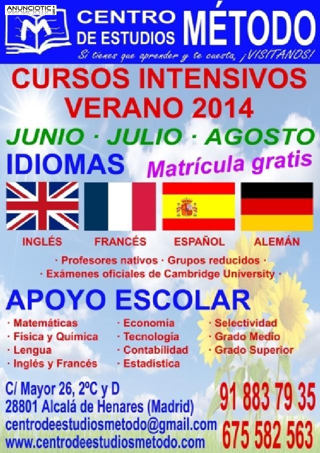Curso intensivo de ingl&eacute;s, alem&aacute;n, franc&eacute;s Junio, Julio y Agosto 2014