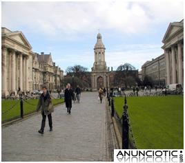 M&aacute;ster Intensivo en Ingl&eacute;s de Negocios para Ejecutivos en Dubl&iacute;n. Bonificable