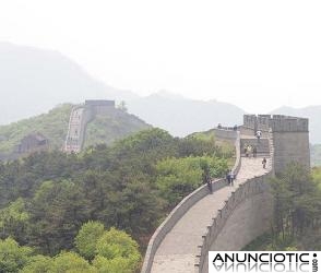 INGL&Eacute;S &iexcl;Y CHINO! PR&Aacute;CTICO Y DIVERTIDO  