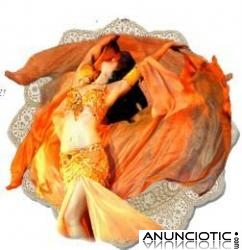 Clases y espect&aacute;culos de danza oriental