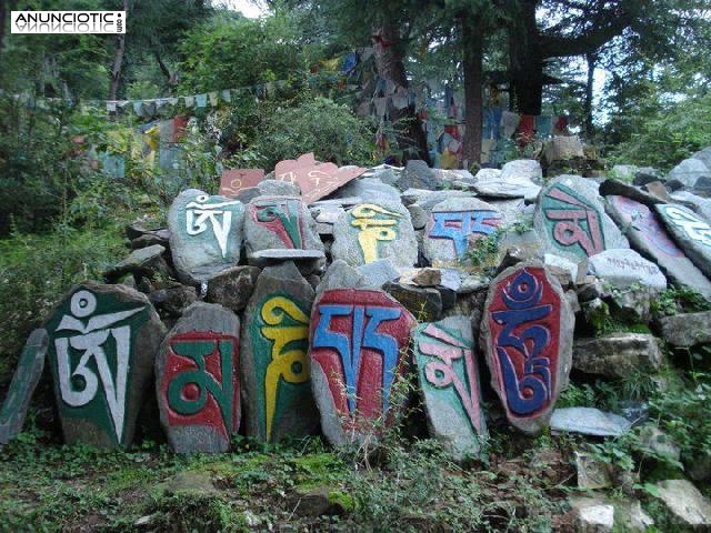 Introducci&oacute;n al Budismo en 7 temas