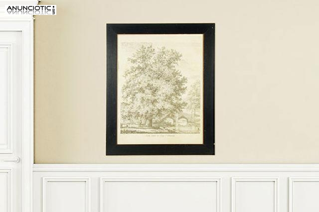 L&aacute;mina "black poplar at bury s. edmund&acute;s".