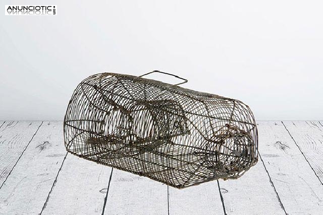 Antigua ratonera. a&ntilde;os 20