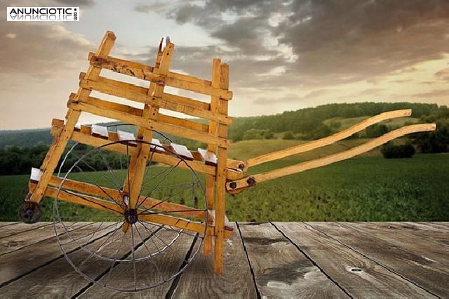 Carrito gemelar de beb&eacute;s, principio sxx