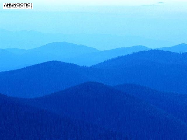 Jos&eacute; Ram&oacute;n venta de t&oacute;ner para impresoras. tlf 648 935 616